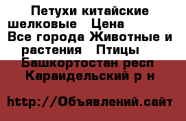 Петухи китайские шелковые › Цена ­ 1 000 - Все города Животные и растения » Птицы   . Башкортостан респ.,Караидельский р-н